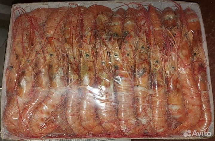 Креветка аргентинская, целая(L2) 21/30(лангустин)