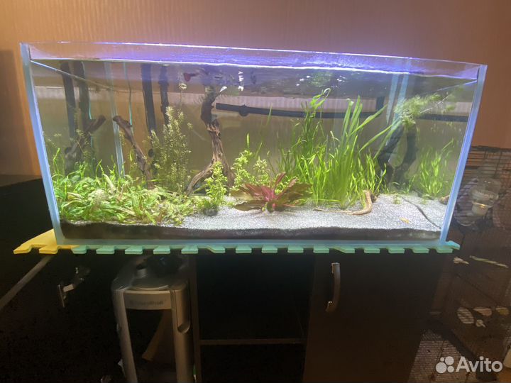 Аквариум 100л