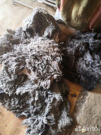 Шкурка животного