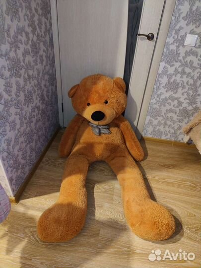 Плюшевый медведь