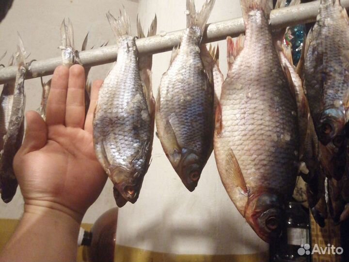 Вобла вяленая(бесплатно) слабой соли с икрой