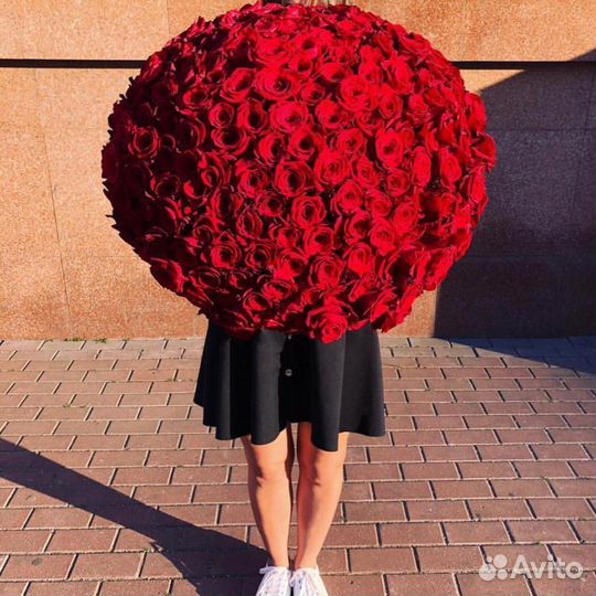 Цветы эквадорские розы