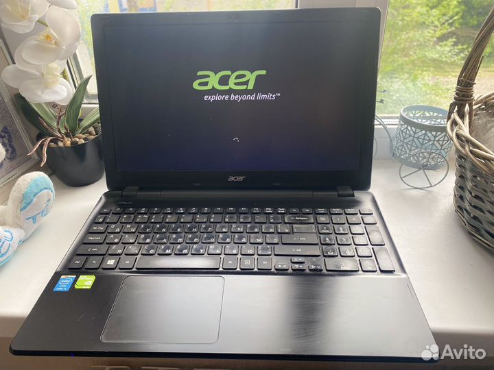 Acer