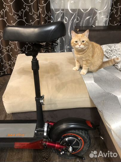 Самокат взрослый