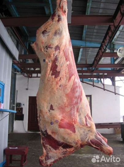 Забой, обвалка, рубка. быков-коров, свиней, овец