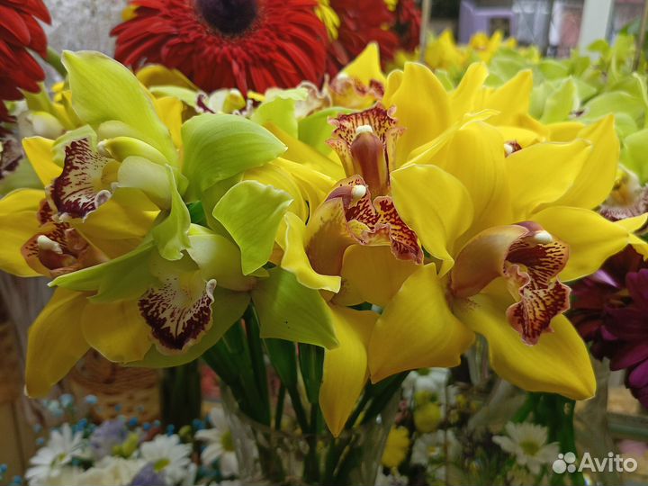 Свежие цветы