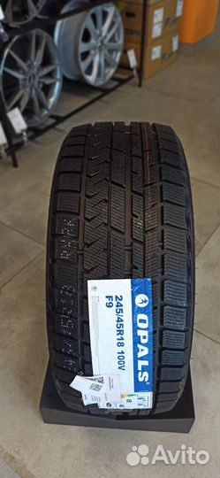 Opals SilverSnow F9 225/50 R17