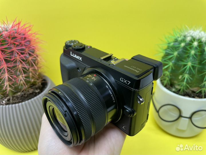 Panasonic GX7 Kit 14-42mm