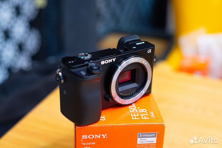 Sony A6000 + FE 50/1.8