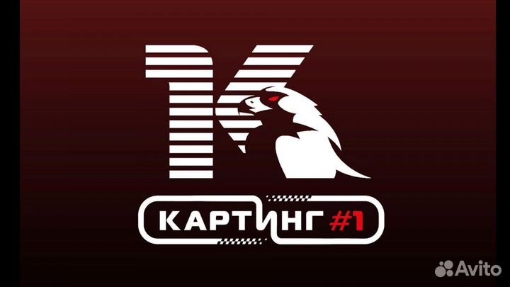 Инструктор картинг клуба - Картинг#1