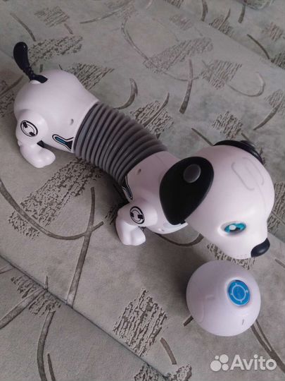 Игрушечная собака