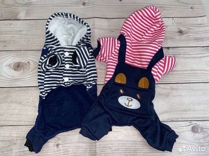 Одежда для маленьких собак и кошек, суриката