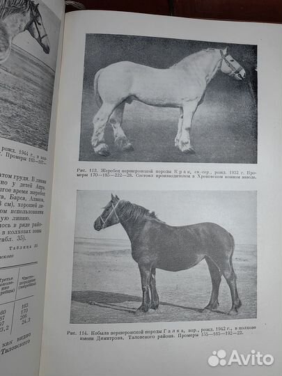 Буденный, С. Книга о лошади,1,2,3 тома. 1952- 59