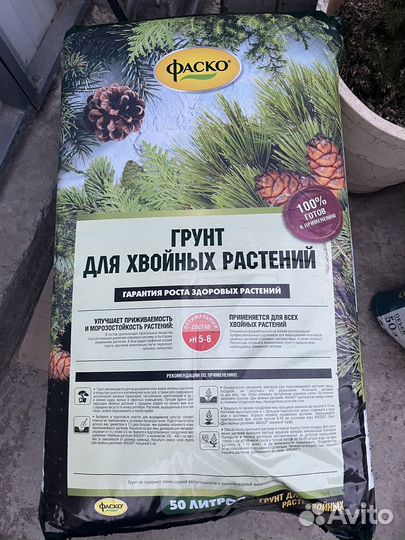 Грунт для хвойных