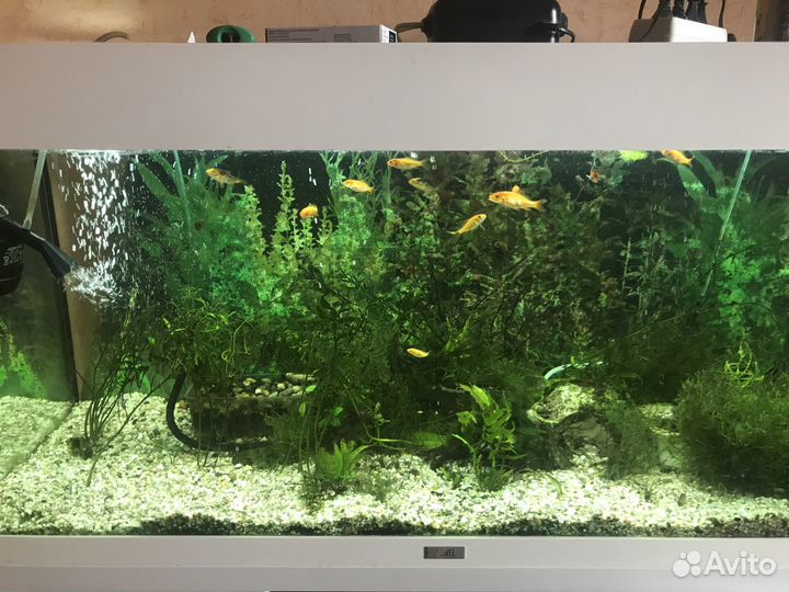 Аквариум juwel RIO 180