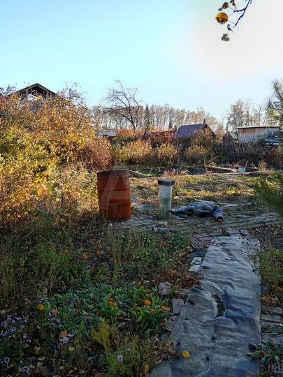 Участок 5,5 га (СНТ, ДНП)