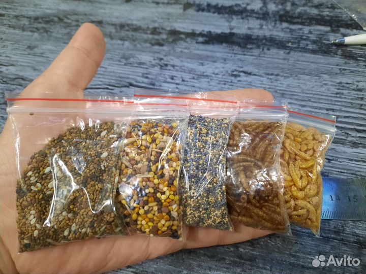 Корм для муравьев 5 видов