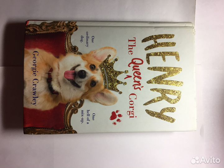 Henry the Queens Corgi- Georgie Crawley
