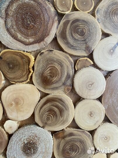 Декоративное панно на стену из спилов дерева