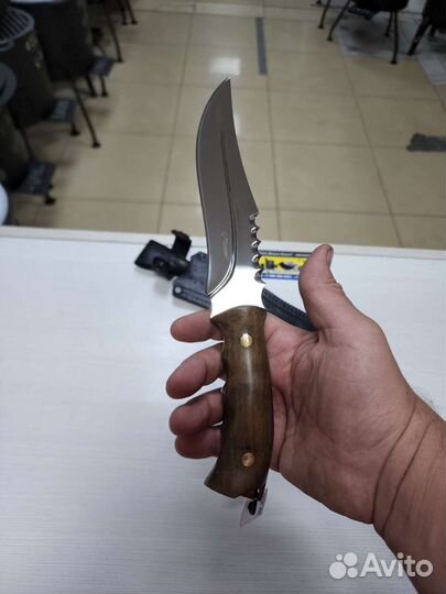 Нож Хищник Беркут Кизляр