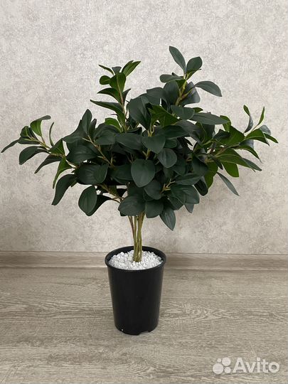 Искусственные растения для декора