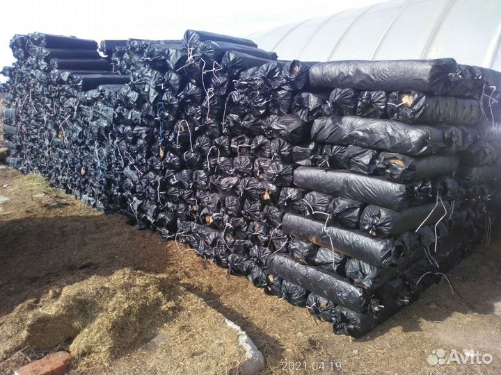 Грибные блоки для выращивания вешенки