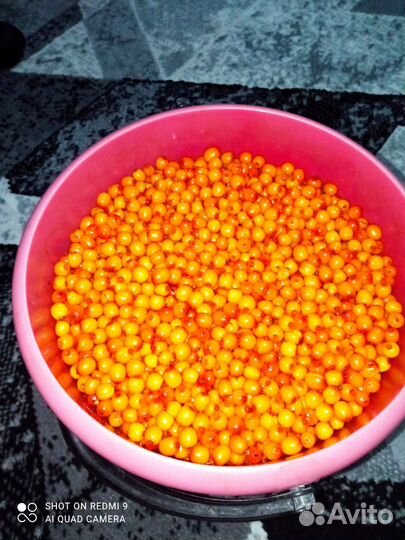 Облепиха ягоды