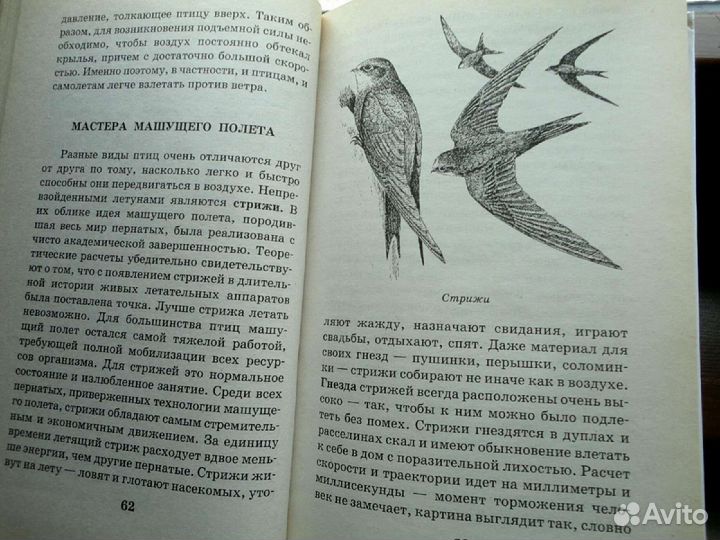 Детская энциклопедия 