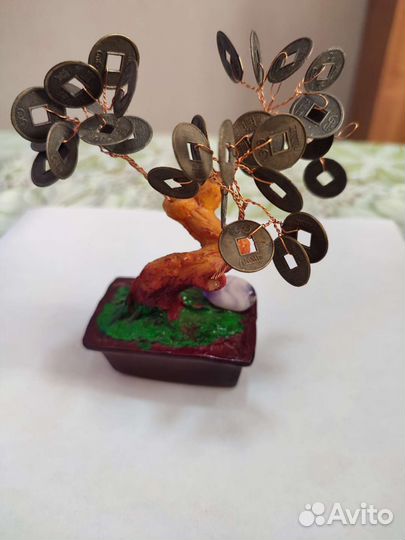 Денежное дерево