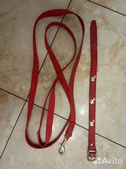 Поводок и ошейник
