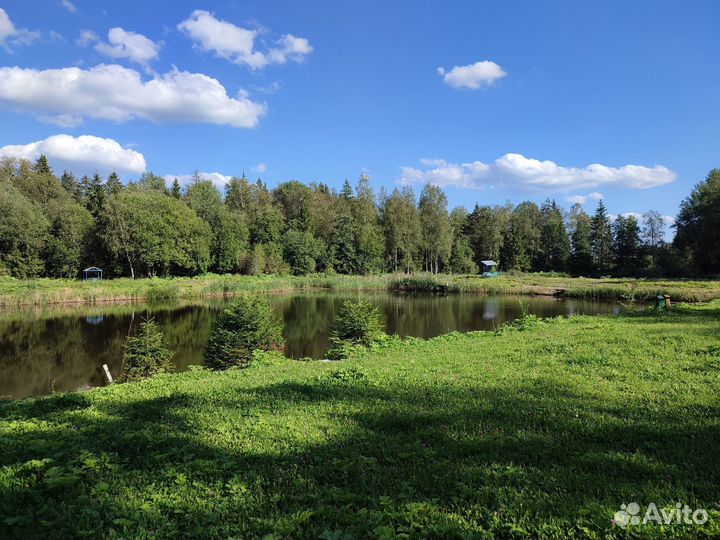 База отдыха