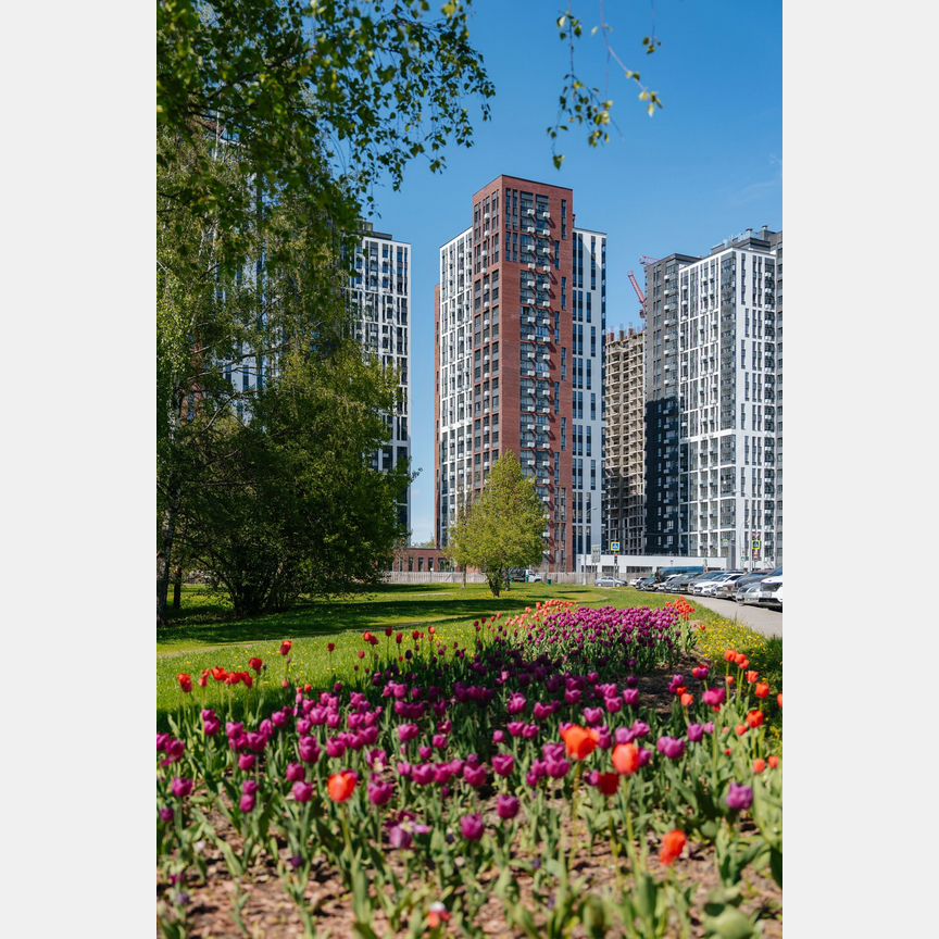 3-к. квартира, 56,5 м², 25/30 эт.