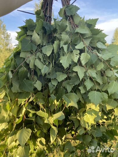 Веники для бани