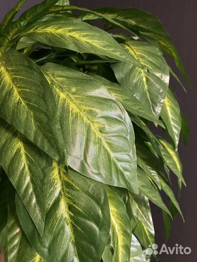 Искусственное дерево Манго