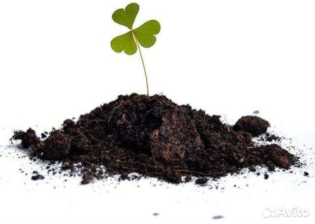 Перегной, навоз