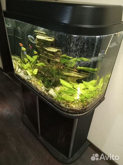 Аквариум с тумбой 120 литров