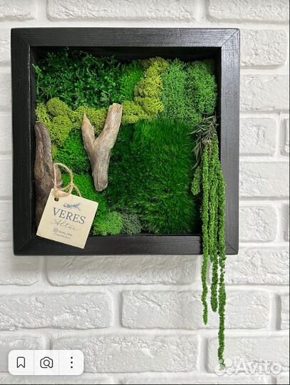 Фито картина