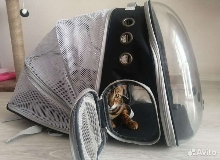 Новый рюкзак переноска для животных