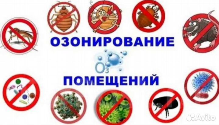 Обработка озоном