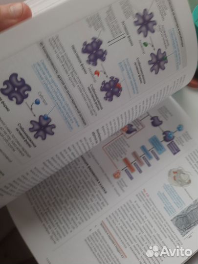 Биология campbell т.1