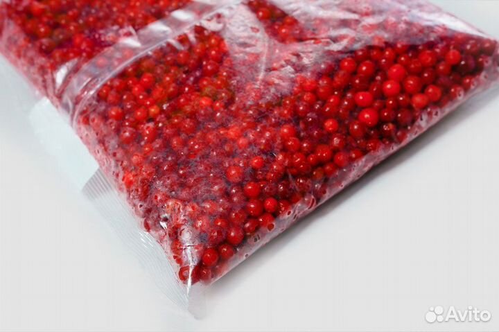 Брусника Россия шоковая заморозка