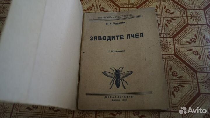 В. Н. Чудинов. Заводите пчел 1925 год