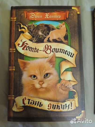 Книги Коты-воители