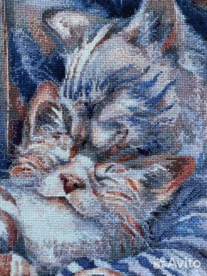 Вышитая картина:,Нежность