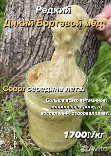 Настоящий мед