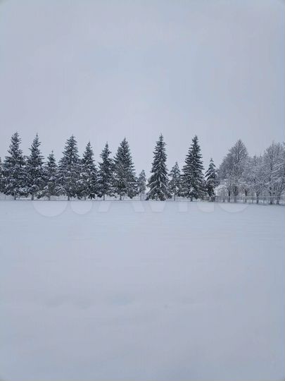 Участок 45 сот. (ИЖС)