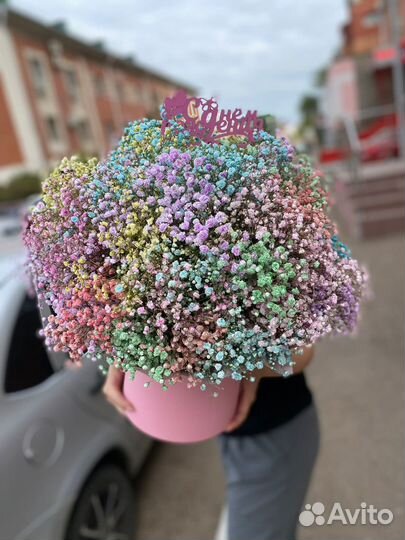 Гипсофила радужная