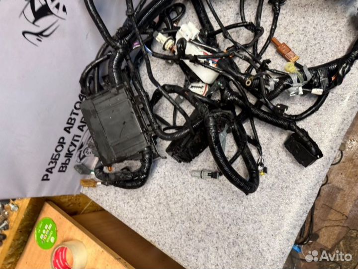 Проводка моторного отсека Nissan Juke HR16