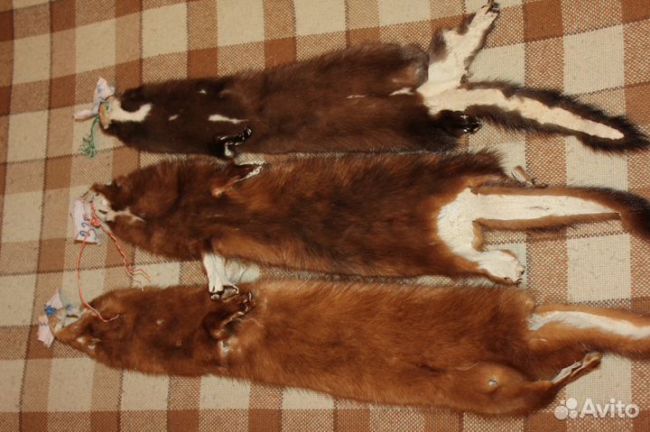 Норка шкурки выделаны