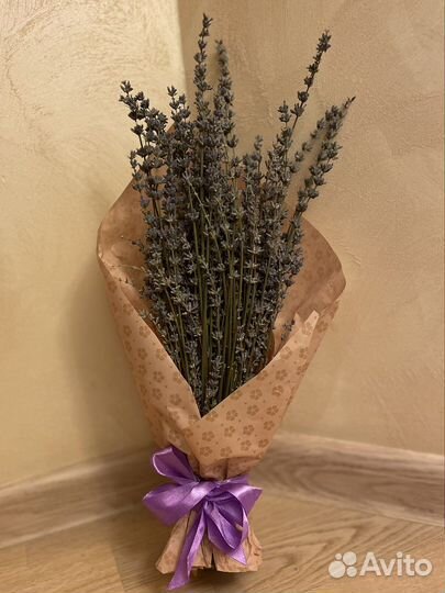 Лаванда букет сухоцветы